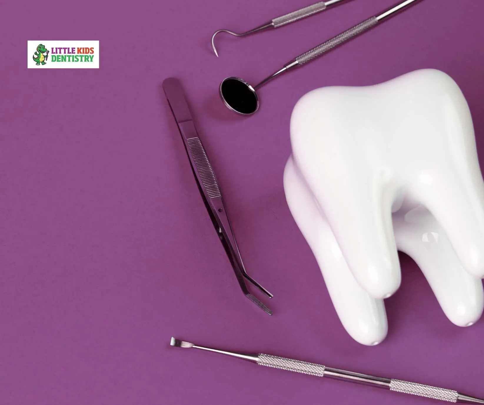 Dental tools and tooth model